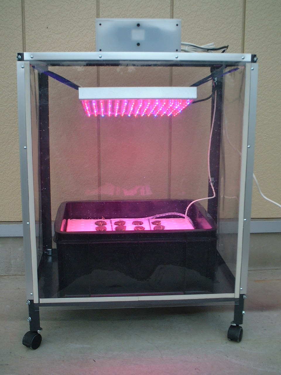 LED水耕栽培システム
